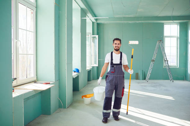 Best Mold Odor Removal Services  in Carrizo Hill, TX