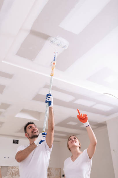Best Emergency Mold Remediation  in Carrizo Hill, TX