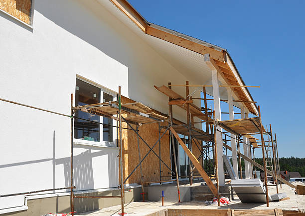Best Airborne Mold Testing  in Carrizo Hill, TX
