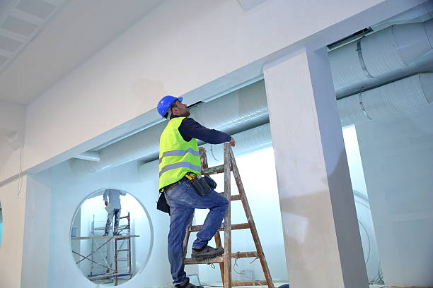 Best Indoor Air Quality Assessment  in Carrizo Hill, TX